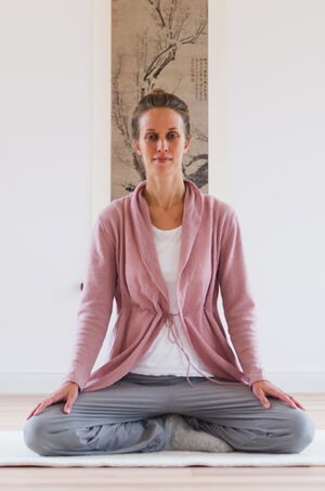 MBSR - Stressbewältigung - Zentrum Achtsamkeit - Meditation - Tai Chi - Qi Gong - Cantienica - Bewusstsein